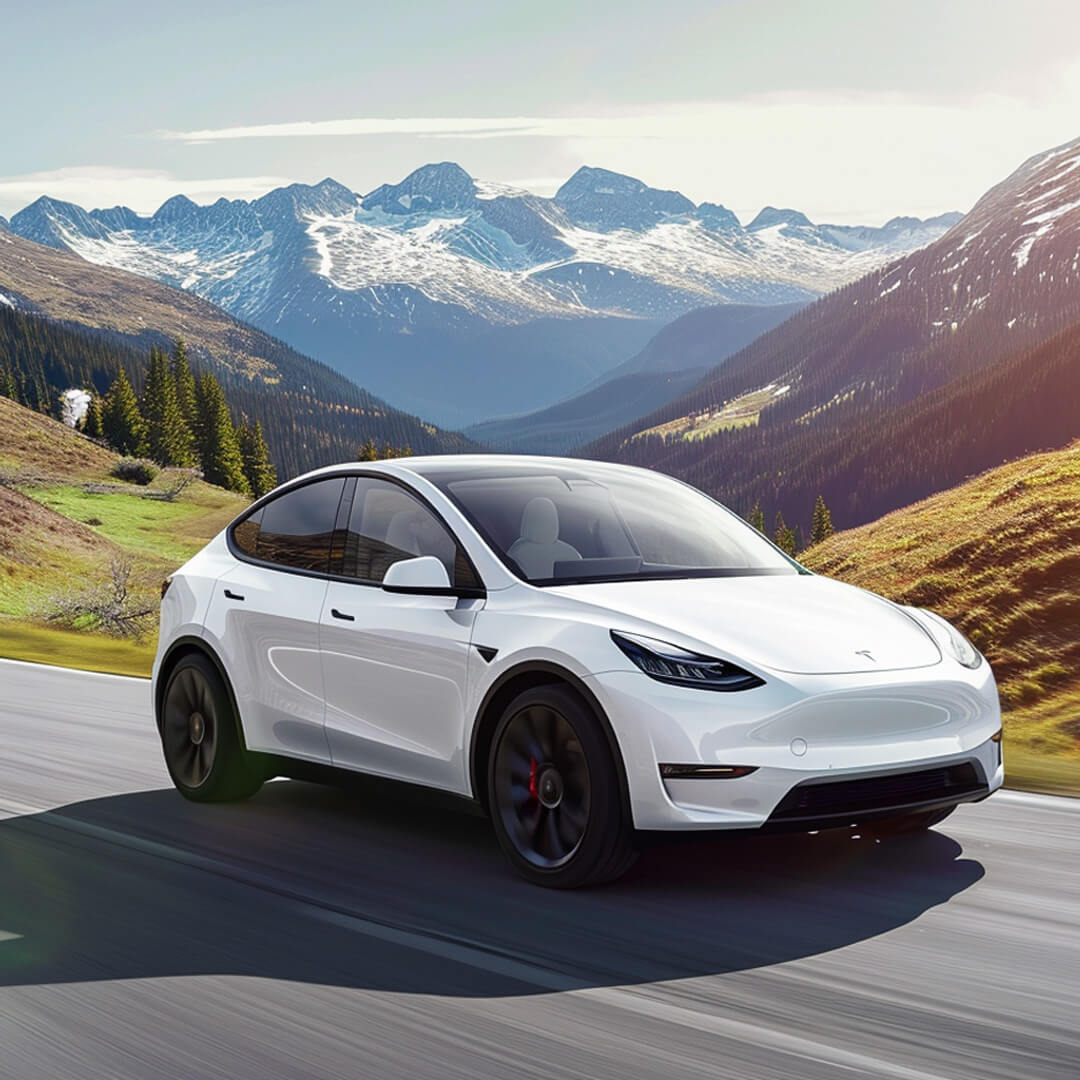 Tesla Model Y Accessories - Tesla Outfitters – Tagged Hunde