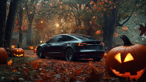 Best Tesla Autumn Accessories