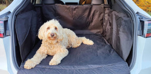 Use these dog accessories for the Tesla Model Y